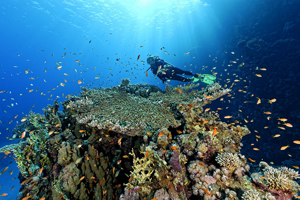 Ras Mohammed