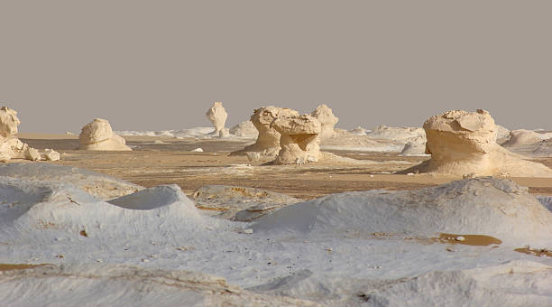 White Desert Overnight