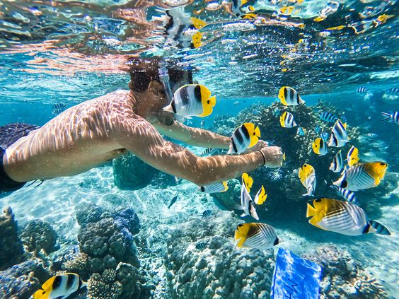 Marsa Alam Dolphin House