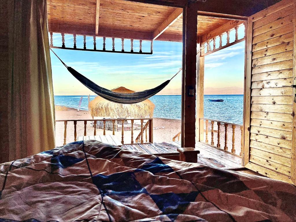 Nuweiba: Desert & Sea